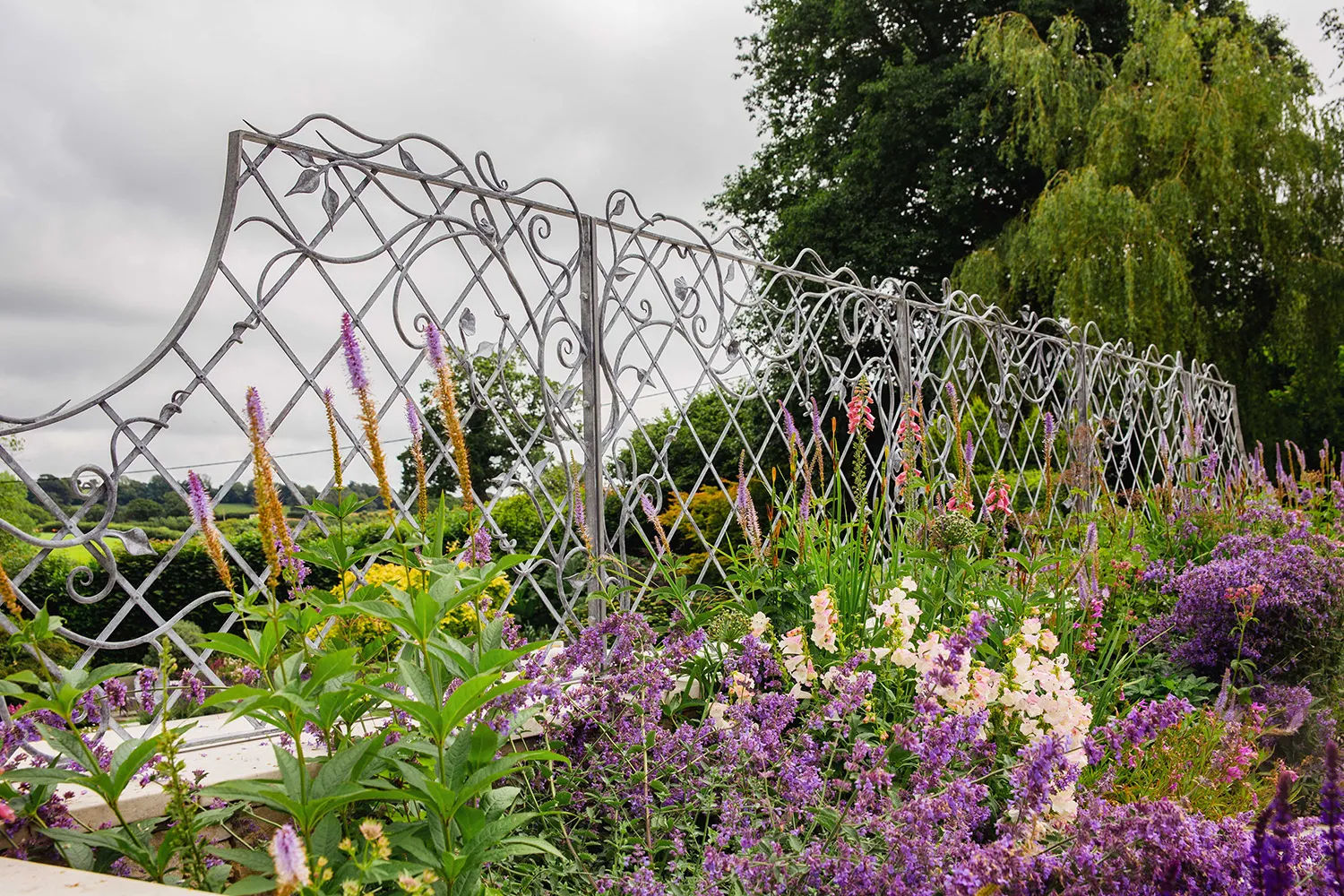 Trellis South Devon